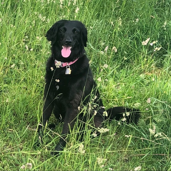 Meet your Posher, Jennifer - Picture 5 of 6